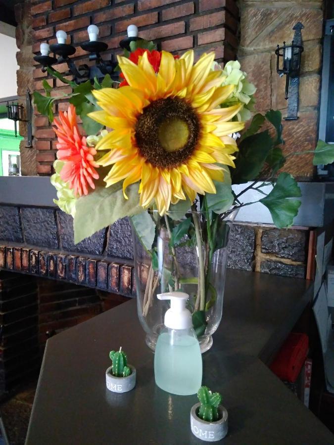 Hostal San Andres Soria Zewnętrze zdjęcie